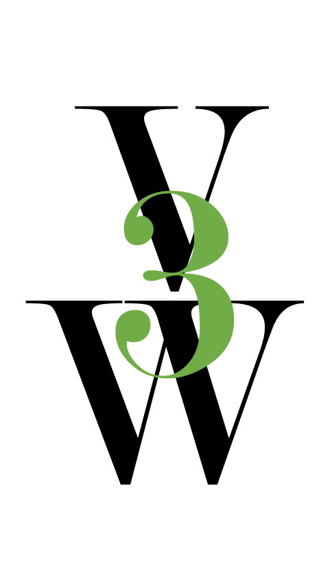 V3W Enterprises Logo